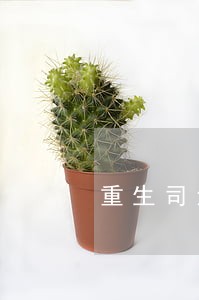 重生司法天神 重生司法天神