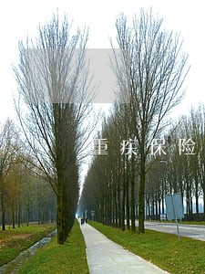 重疾保险缴费前三年不能逾期么 重疾保险缴费前三年不能逾期么