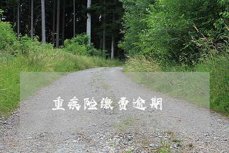 重疾险缴费逾期 重疾险缴费逾期