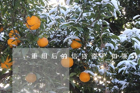 重组后的信贷资产如果仍然逾期 重组后的信贷资产如果仍然逾期