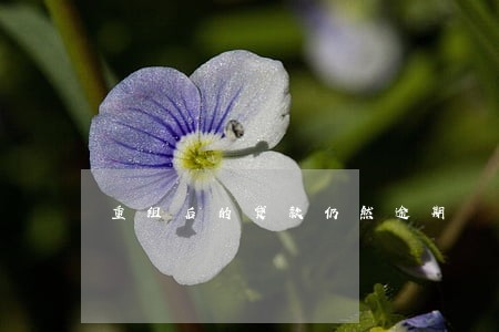 重组后的贷款仍然逾期 重组后的贷款仍然逾期