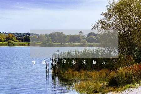 重组法律咨询招标 重组法律咨询招标