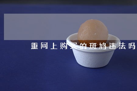 重网上购买的斑鸠违法吗 重网上购买的斑鸠违法吗