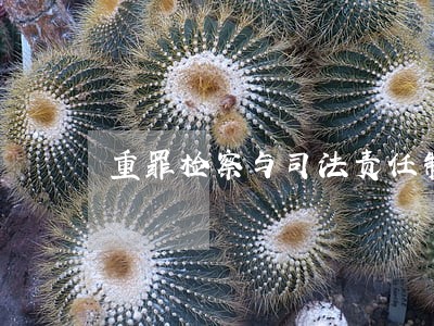 重罪检察与司法责任制 重罪检察与司法责任制
