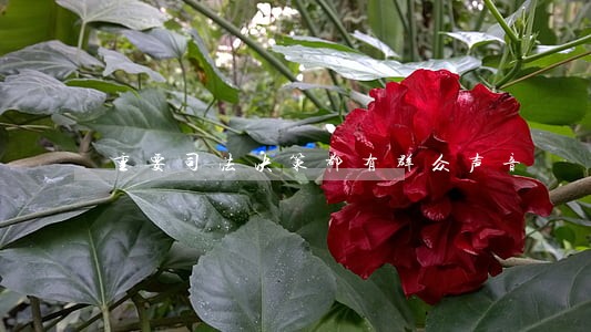 重要司法决策都有群众声音 重要司法决策都有群众声音