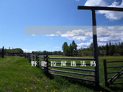 野地拉屎违法吗 野地拉屎违法吗