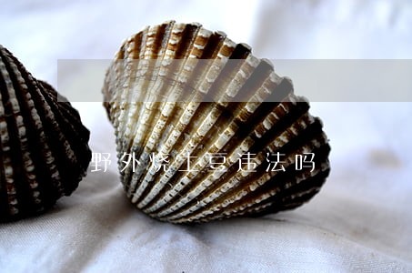野外烧土豆违法吗