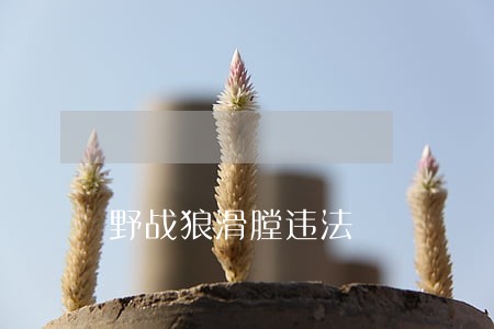 野战狼滑膛违法
