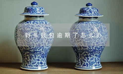 野牛钱包逾期了怎么办 野牛钱包逾期了怎么办