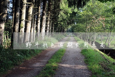 野牛钱包逾期费用太高 野牛钱包逾期费用太高