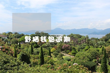 野猫钱包逾期 野猫钱包逾期