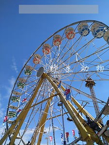 野生动物公益诉讼难点