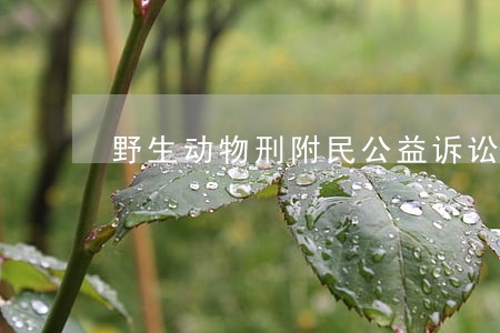 野生动物刑附民公益诉讼起诉书 野生动物刑附民公益诉讼起诉书