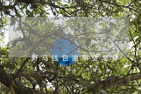 野马钱包逾期会怎样 野马钱包逾期会怎样