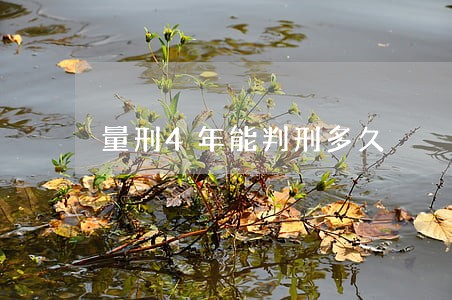量刑4年能判刑多久 量刑4年能判刑多久