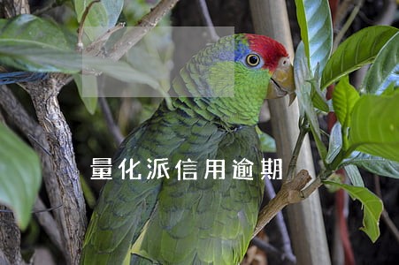量化派信用逾期 量化派信用逾期