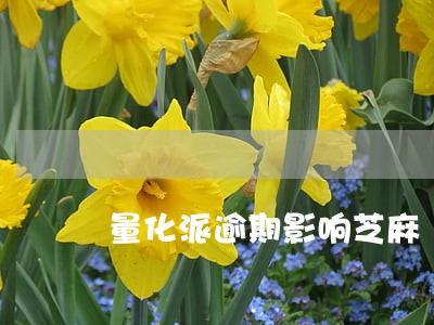 量化派逾期影响芝麻 量化派逾期影响芝麻