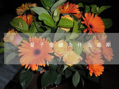量子金融为什么逾期