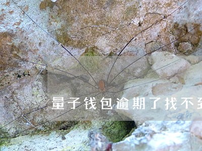 量子钱包逾期了找不到客服 量子钱包逾期了找不到客服