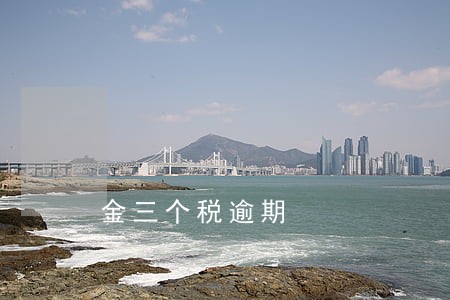 金三个税逾期 金三个税逾期