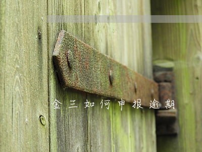 金三如何申报逾期 金三如何申报逾期