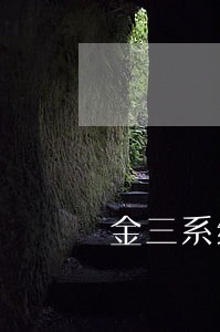 金三系统逾期未申报