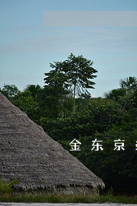 金东京条逾期7天会上门吗 金东京条逾期7天会上门吗