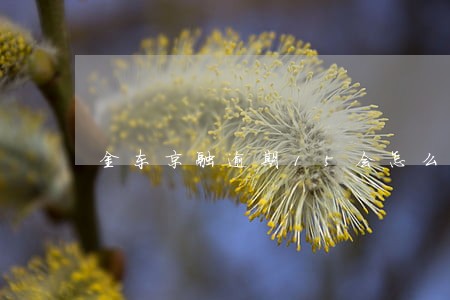 金东京融逾期15会怎么样 金东京融逾期15会怎么样