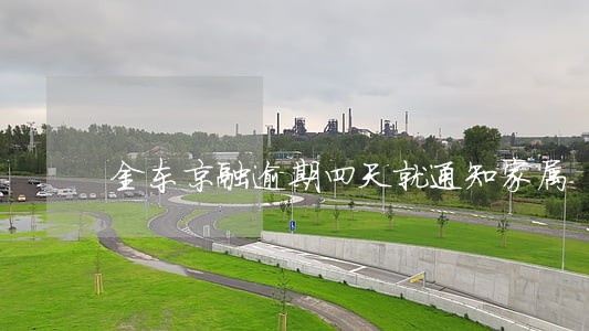金东京融逾期四天就通知家属 金东京融逾期四天就通知家属