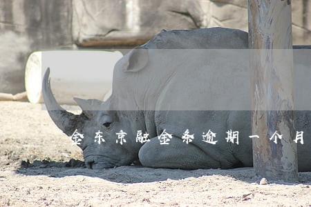金东京融金条逾期一个月会怎样 金东京融金条逾期一个月会怎样