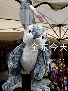 金东今天逾期跟谁打电话