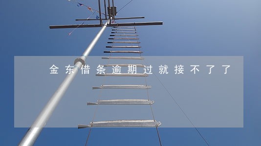 金东借条逾期过就接不了了 金东借条逾期过就接不了了