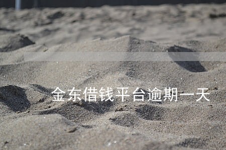 金东借钱平台逾期一天 金东借钱平台逾期一天