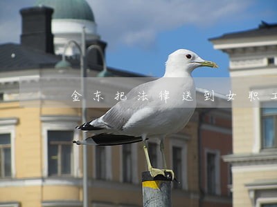 金东把法律送到女职工身边 金东把法律送到女职工身边