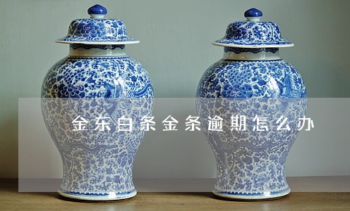 金东白条金条逾期怎么办 金东白条金条逾期怎么办