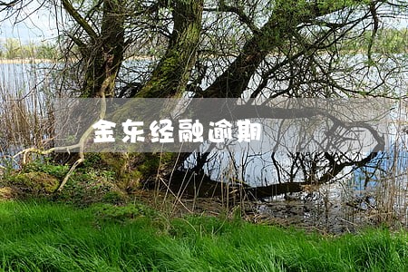 金东经融逾期 金东经融逾期