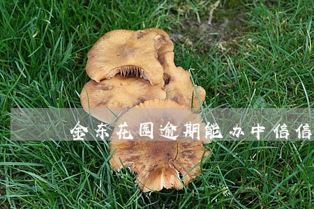 金东花园逾期能办中信信用卡吗 金东花园逾期能办中信信用卡吗