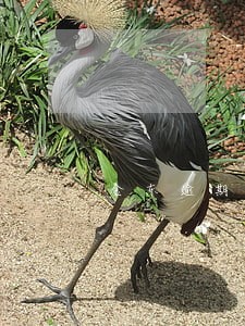 金东逾期可退人寿保险吗