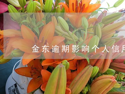 金东逾期影响个人信用 金东逾期影响个人信用
