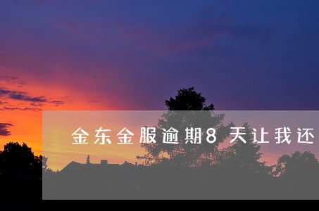 金东金服逾期8天让我还清所有 金东金服逾期8天让我还清所有