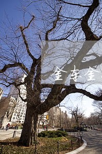 金东金条8000逾期半年 金东金条8000逾期半年