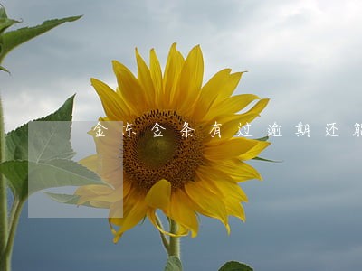 金东金条有过逾期还能借吗 金东金条有过逾期还能借吗