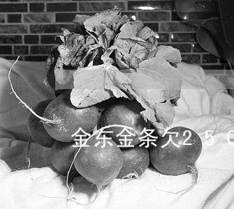 金东金条欠25000逾期三年 金东金条欠25000逾期三年