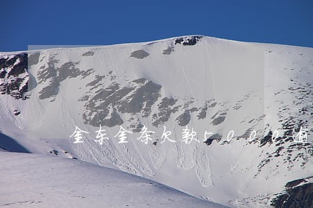 金东金条欠款5000逾期 金东金条欠款5000逾期