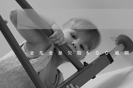 金东金条欠款600逾期
