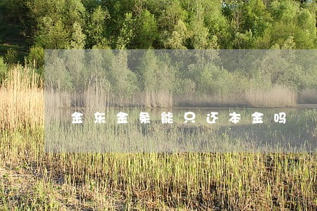 金东金条能只还本金吗 金东金条能只还本金吗
