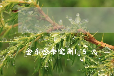金东金条逾期15天 金东金条逾期15天
