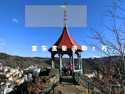 金东金条逾期1万 金东金条逾期1万
