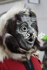 金东金条逾期2年 金东金条逾期2年