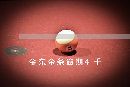 金东金条逾期4千